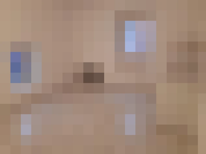  / #4