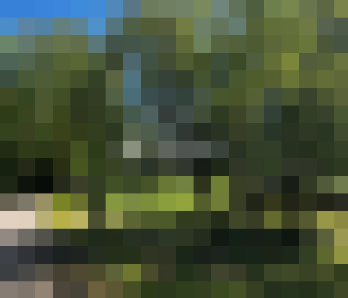  / #7