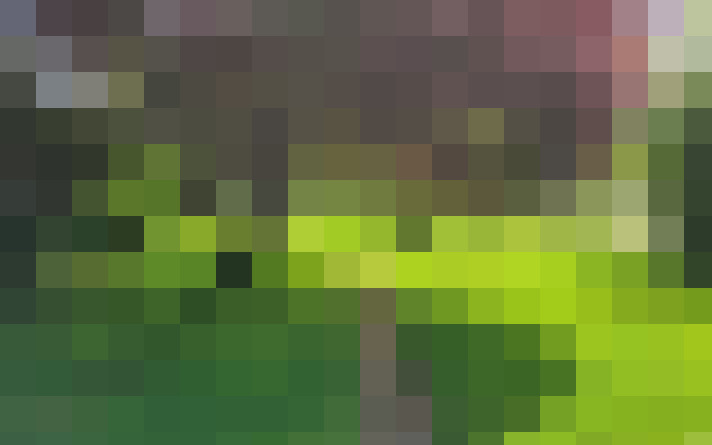  / #11