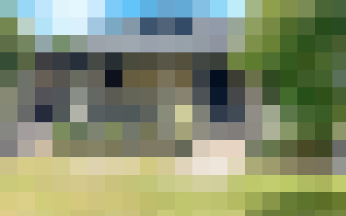  / #14