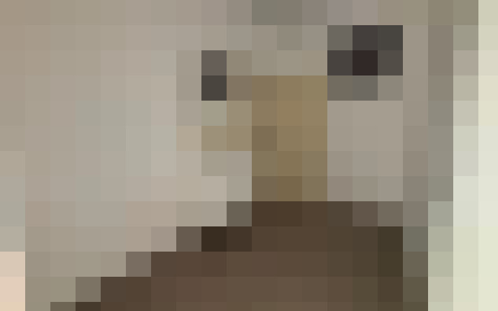  / #11