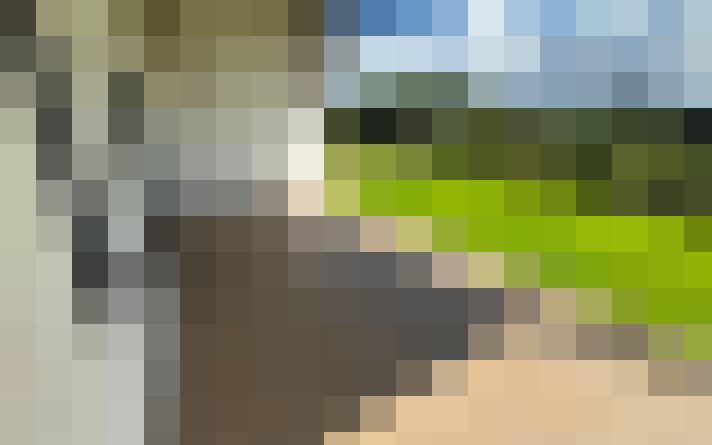  / #18