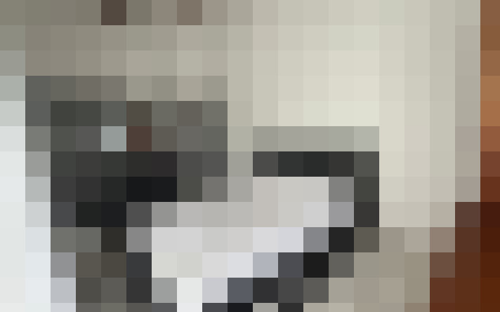  / #11