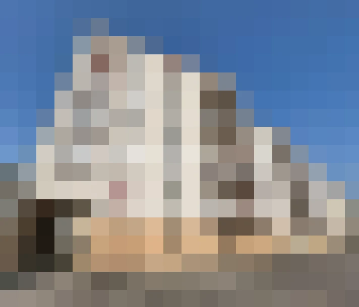  / #13