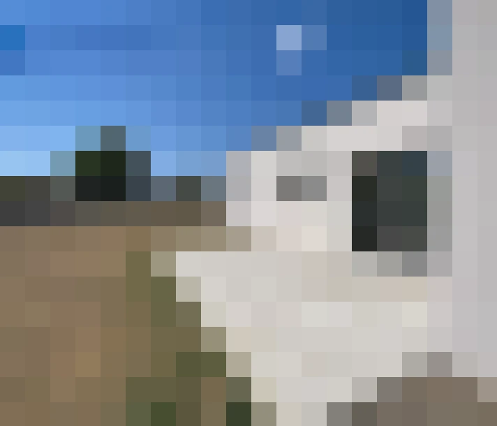  / #13