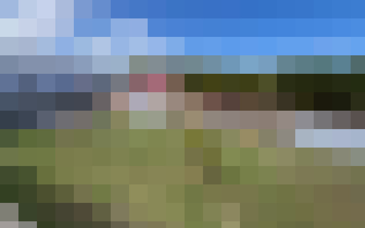  / #16