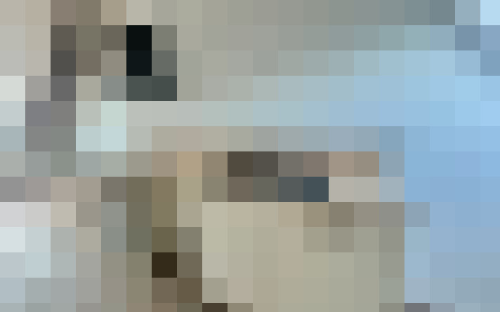  / #14