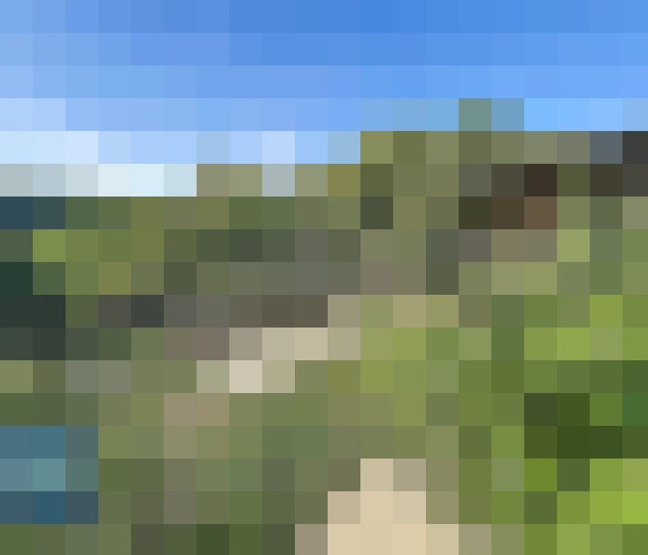  / #12