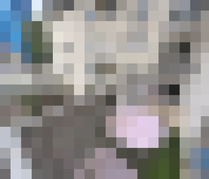  / #8