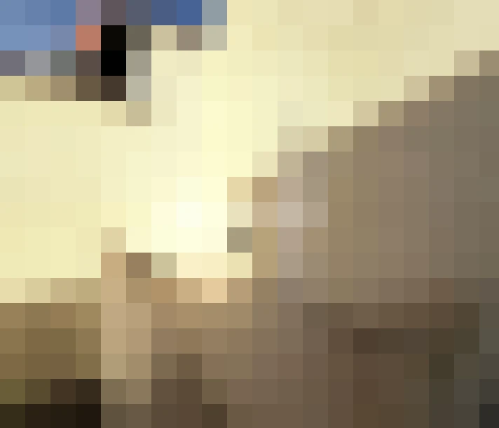  / #7