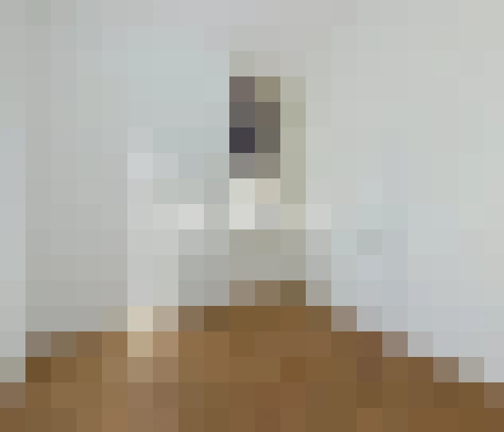  / #6