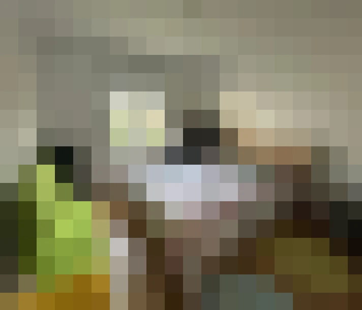 / #7
