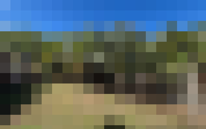  / #11