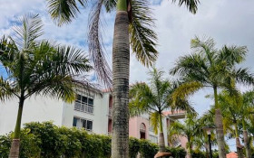 Appartement à Baie-Mahault