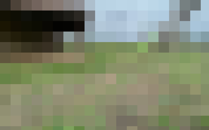  / #17