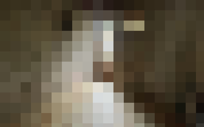  / #13