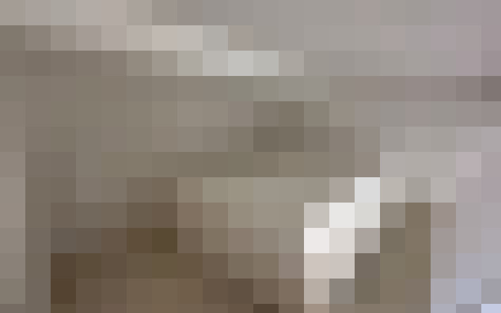  / #19