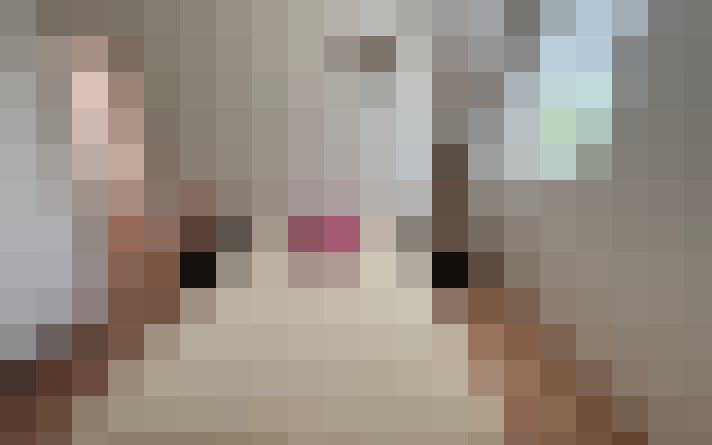  / #13
