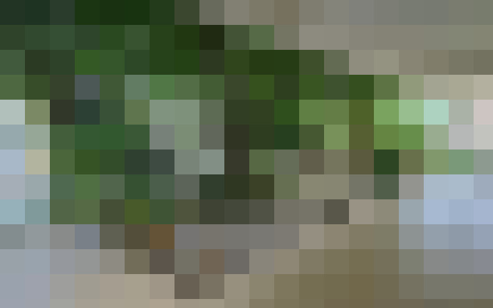  / #14