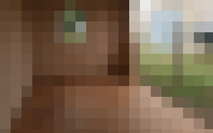  / #11