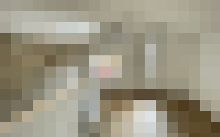  / #14