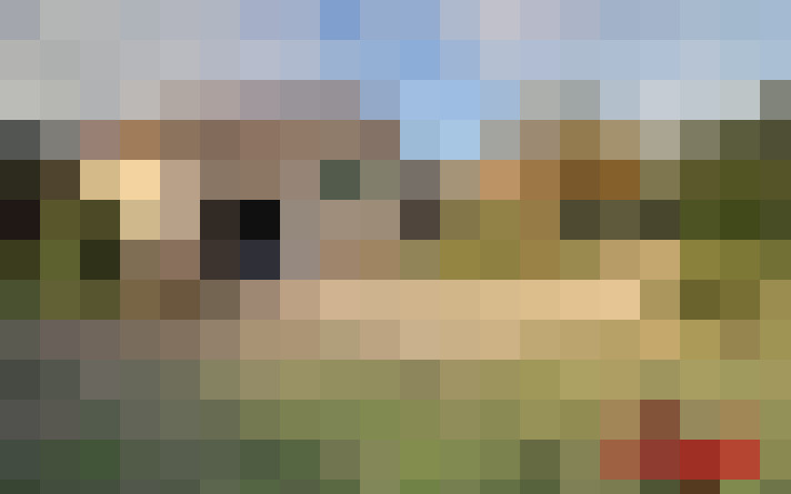  / #13