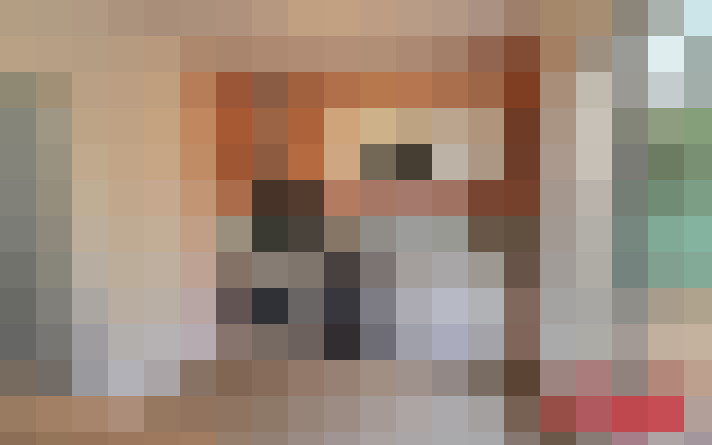  / #7