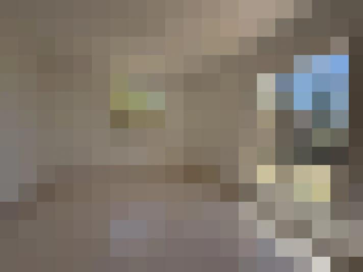  / #15