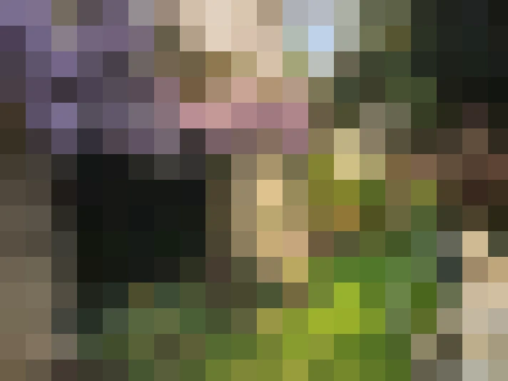  / #18