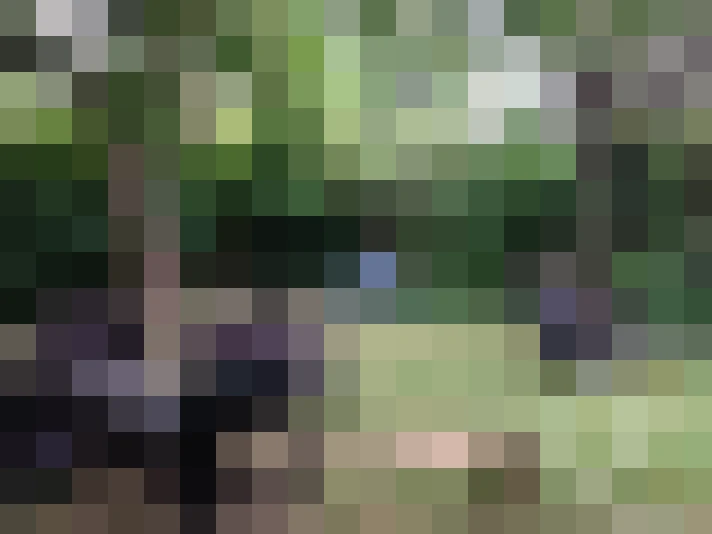  / #17