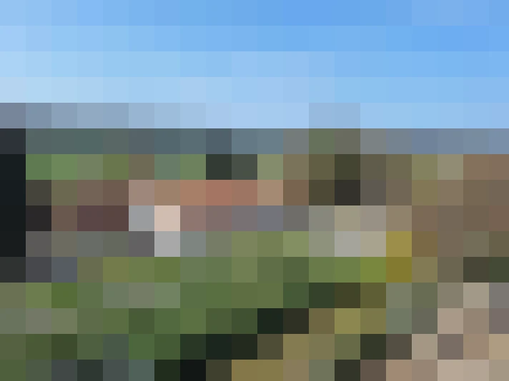  / #14