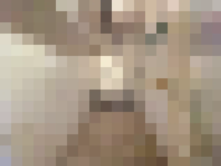  / #19