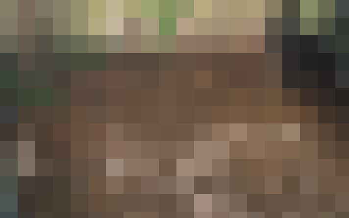  / #7