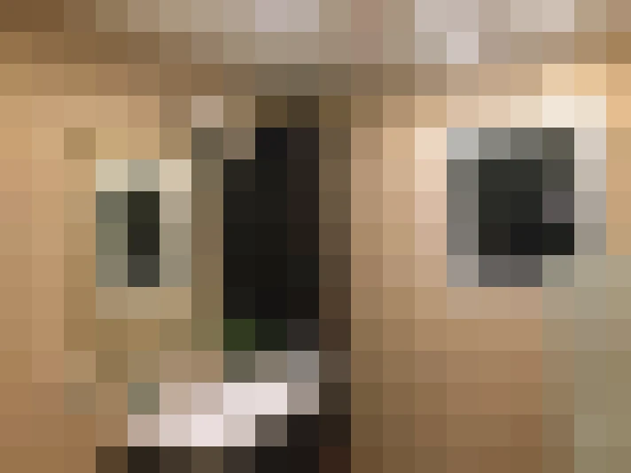  / #20