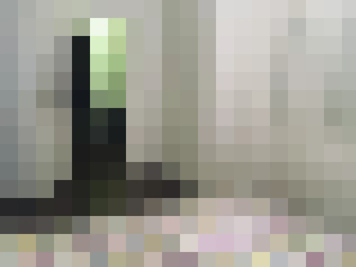  / #14