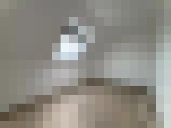  / #7
