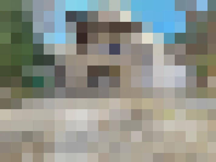  / #20