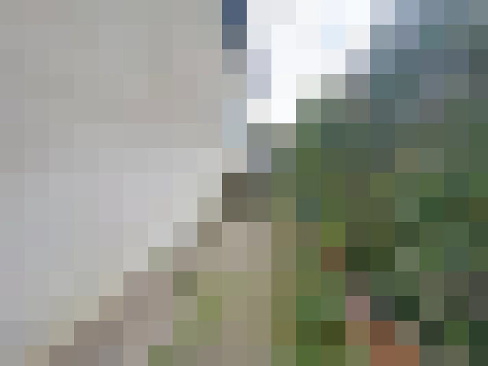  / #14