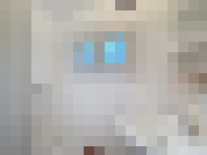  / #7