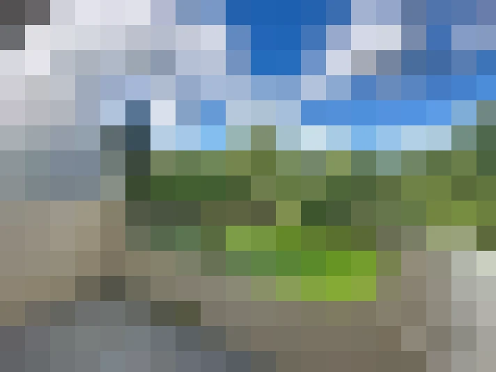 / #16