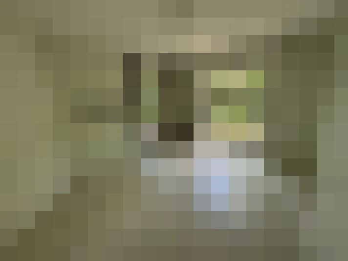  / #7