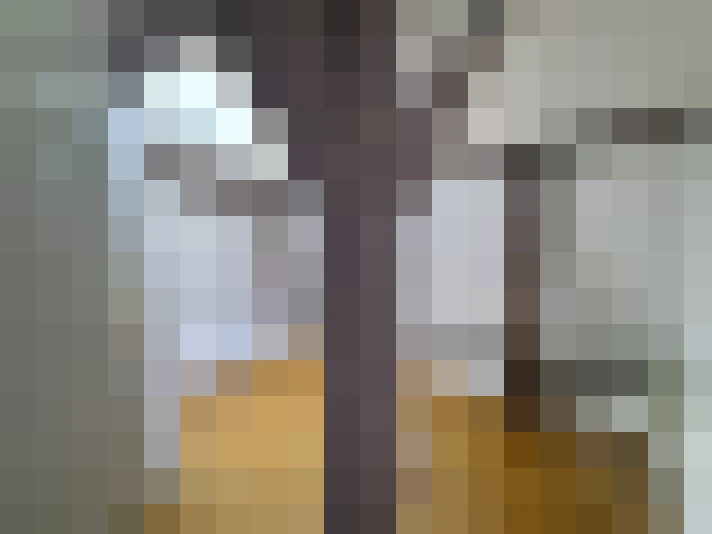  / #8