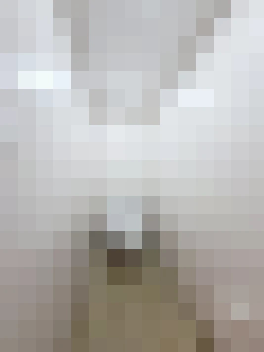  / #18