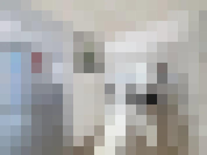  / #15