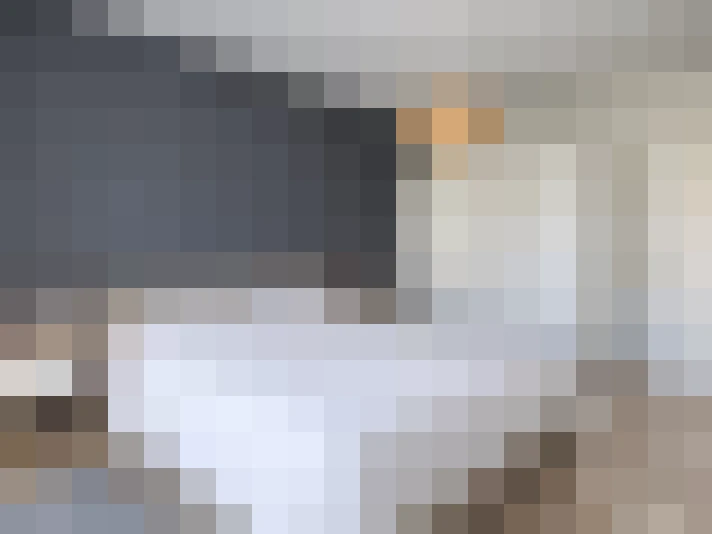  / #7