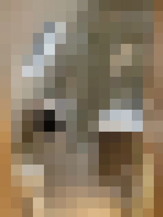 / #7