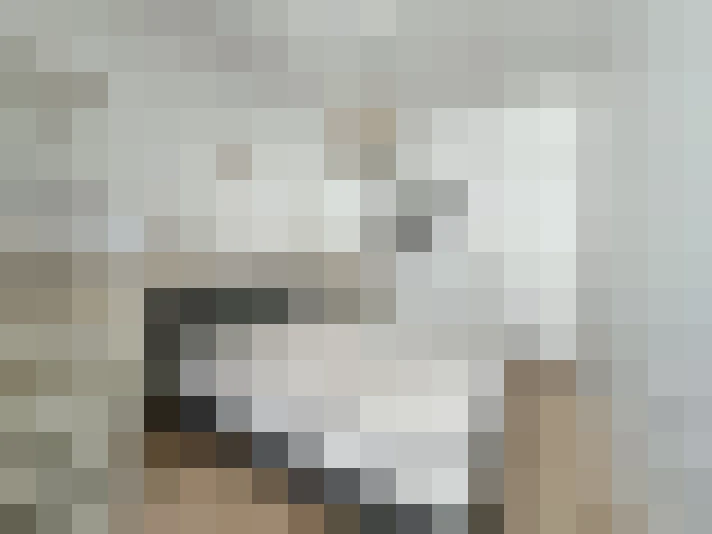  / #18