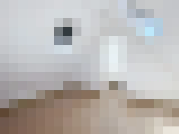  / #12