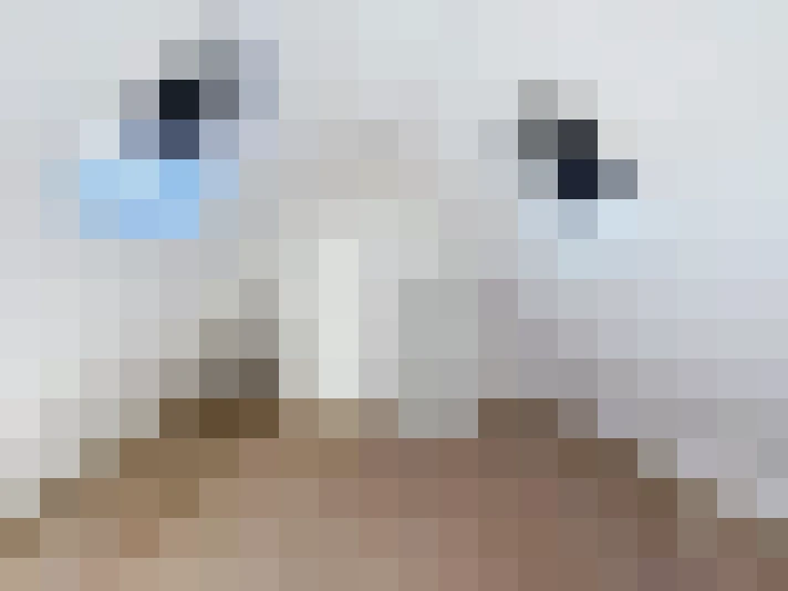 / #14
