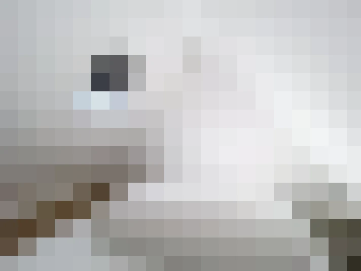  / #13